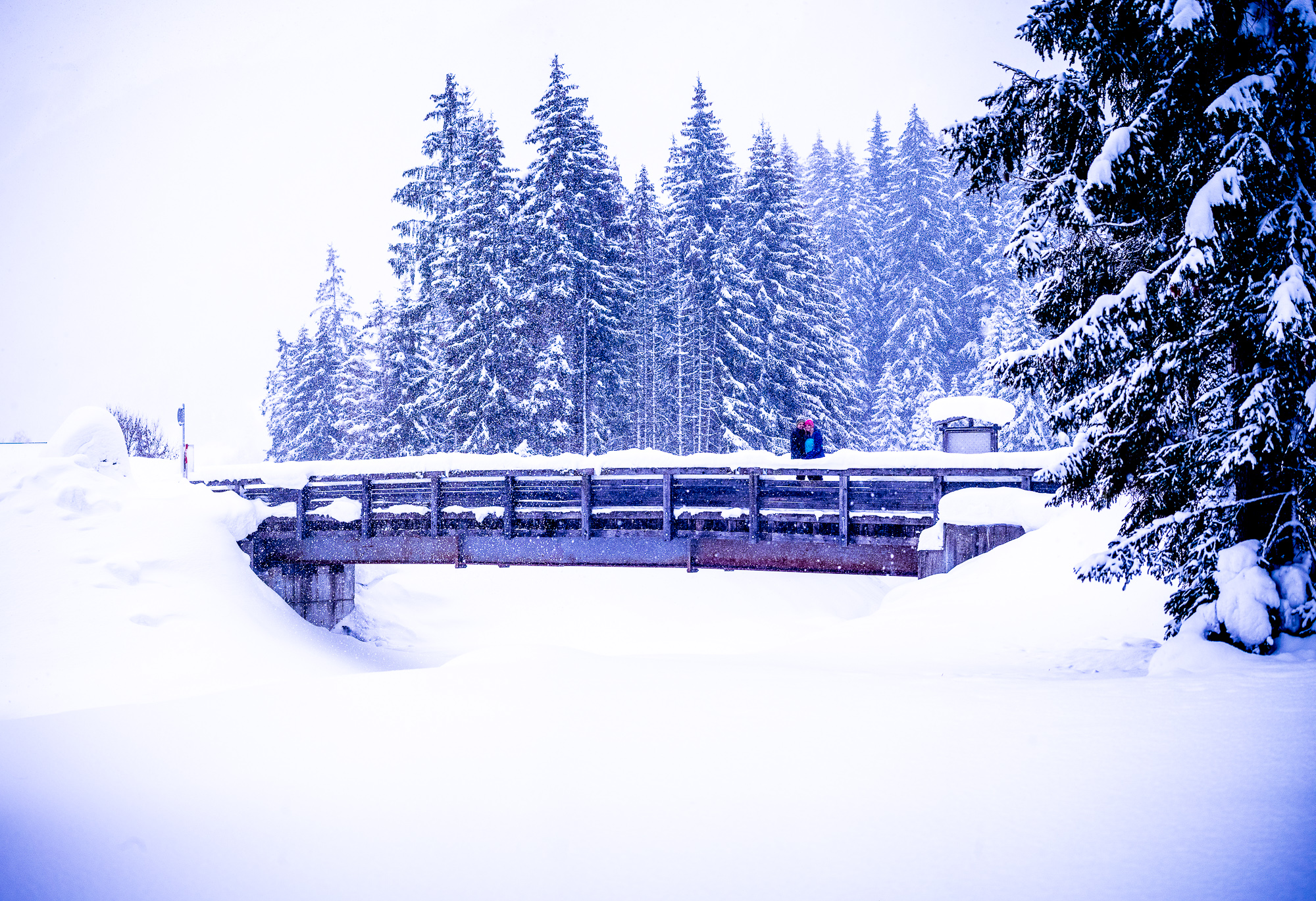 Export x3 1DX29454 Pano Verlobungsfotoshooting 2018 Anna & Dominik